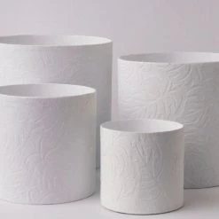 Tree Stripes Pty Ltd Pots & Hanging Baskets Cylinder Pot Monstera - White