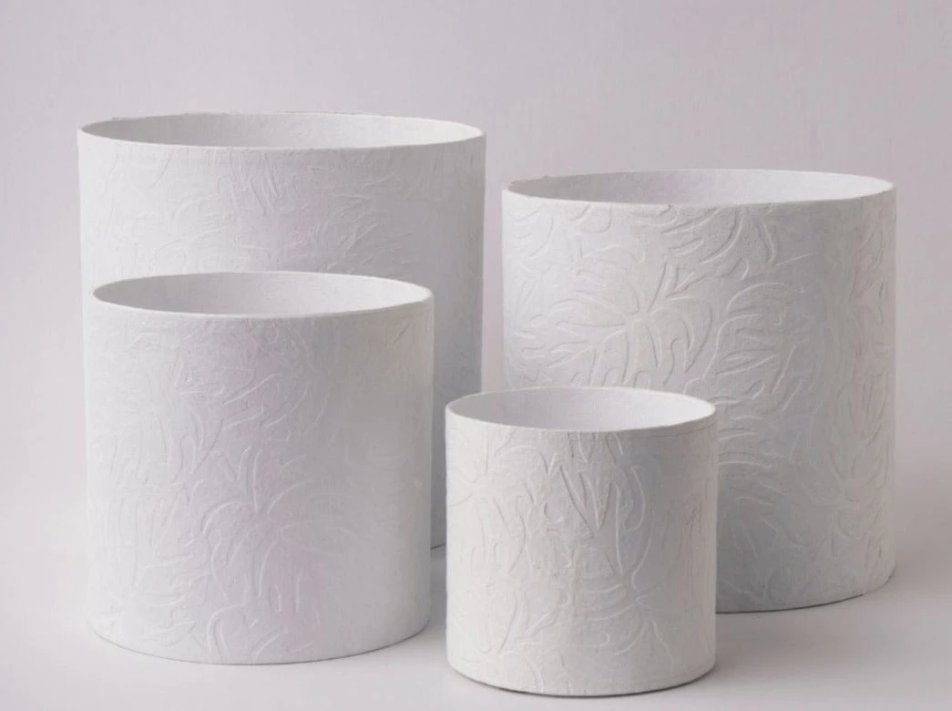 Tree Stripes Pty Ltd Pots & Hanging Baskets Cylinder Pot Monstera - White 4 Tree Stripes Pty Ltd Pots & Hanging Baskets Cylinder Pot Monstera - White