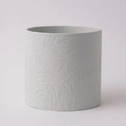 Tree Stripes Pty Ltd Cylinder Pot Monstera - Morning Mist