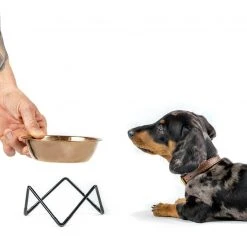 Bendo Lux Cat Bowls - Mix 'n' Match