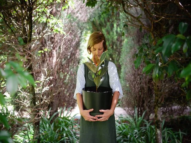 Mr Kitly Pots 300mm Outdoor Living 7 Mr Kitly Pots 300mm Outdoor Living