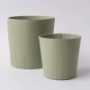 Tree Stripes Pty Ltd Pots & Hanging Baskets Conical Pot Dotty - Sage Green