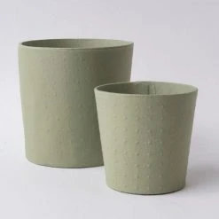 Tree Stripes Pty Ltd Pots & Hanging Baskets Conical Pot Dotty - Sage Green