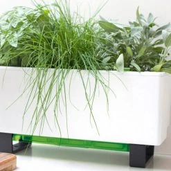 GLOWPEAR PTY LTD Mini Bench Outdoor Accessories