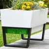 GLOWPEAR PTY LTD Urban Garden Outdoor Living