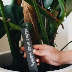 Hoselink Slate Plant Labels 10 Pack + Pen