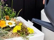 GLOWPEAR PTY LTD Urban Garden Outdoor Living 7 GLOWPEAR PTY LTD Urban Garden Outdoor Living