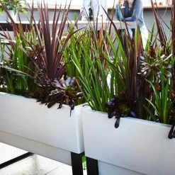 GLOWPEAR PTY LTD Urban Garden Outdoor Living 15 GLOWPEAR PTY LTD Urban Garden Outdoor Living