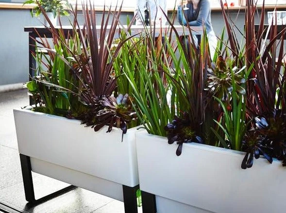 GLOWPEAR PTY LTD Urban Garden Outdoor Living 8 GLOWPEAR PTY LTD Urban Garden Outdoor Living