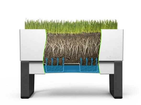 GLOWPEAR PTY LTD Urban Garden Outdoor Living 9 GLOWPEAR PTY LTD Urban Garden Outdoor Living